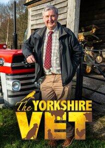 The Yorkshire Vet