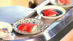 Conveyor Belt Sushi