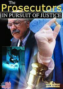 The Prosecutors: In Pursuit of Justice