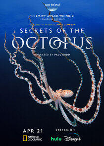 Secrets of the Octopus