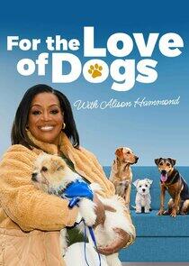 For the Love of Dogs