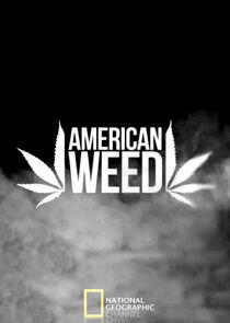 American Weed - Season 1