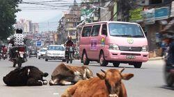 Love and Sorrow in Kathmandu