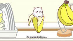 The Kitty Who Lives in a Banana