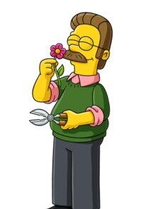 Ned Flanders