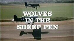 Wolves in the Sheep Pen