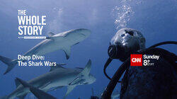 Deep Dive: The Shark Wars