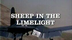 Sheep in the Limelight