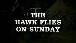 The Hawk Flies on Sunday