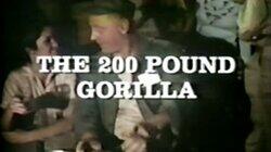 The 200 Pound Gorilla