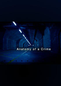 Anatomy of a Crime