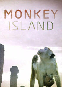 Monkey Island