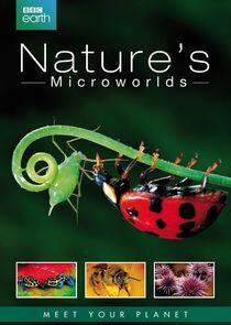 Nature's Microworlds