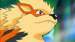 On Cloud Arcanine