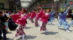 Kochi's Summertime Fever: The Yosakoi!