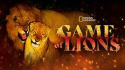 Game of Lions