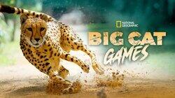 Big Cat Games