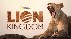 Lion Kingdom