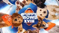 Puppy Bowl XVIII