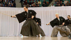 Kenjutsu - The Art of the Sword