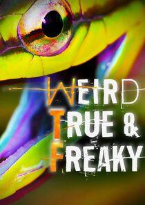 Weird, True & Freaky