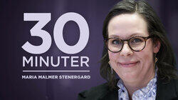 Maria Malmer Stenergard (M)