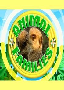 Animal Families