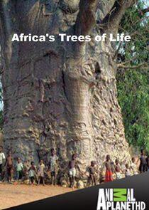 Africa's Trees of Life - Season 1