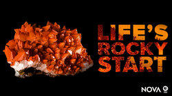 Life's Rocky Start