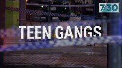 Teen Gangs