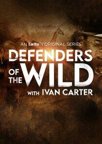 Defenders of the Wild