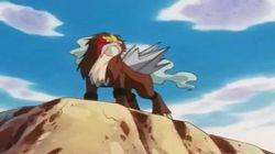 Entei at Your Own Risk