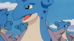 Lapras of Luxury