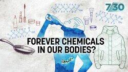 Forever Chemicals in Our Bodies