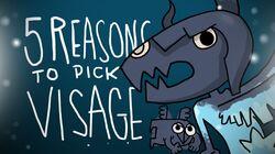 5 REASONS TO PICK VISAGE