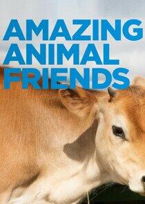 Amazing Animal Friends