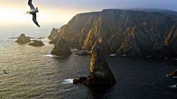 From Foula to Fair Isle