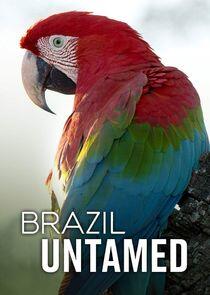 Brazil Untamed