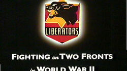 Liberators: Fighting on Two Fronts in World War II