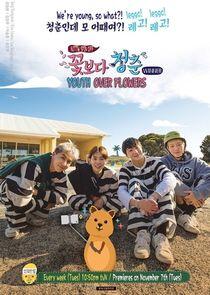 Youth Over Flowers - Season 5