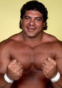 Don Muraco