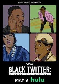 Black Twitter: A People's History