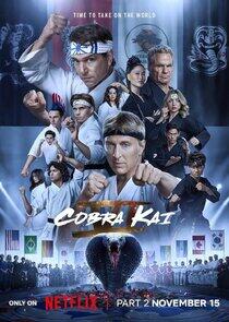 Cobra Kai - Season 6