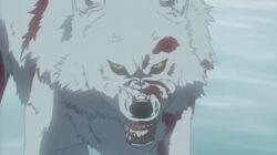 Wolf's Rain