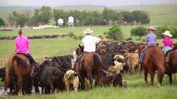 Tex-Mex for Cowboys