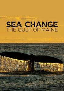 Sea Change: The Gulf of Maine, a NOVA Special Presentation