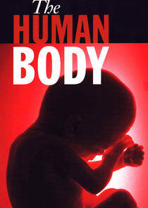 The Human Body